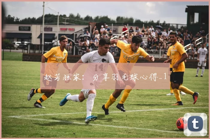 赵芳独家：分享羽毛球心得_1