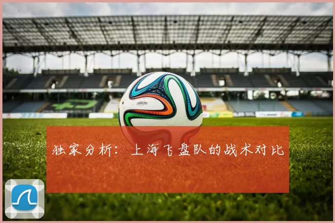 独家分析：上海飞盘队的战术对比