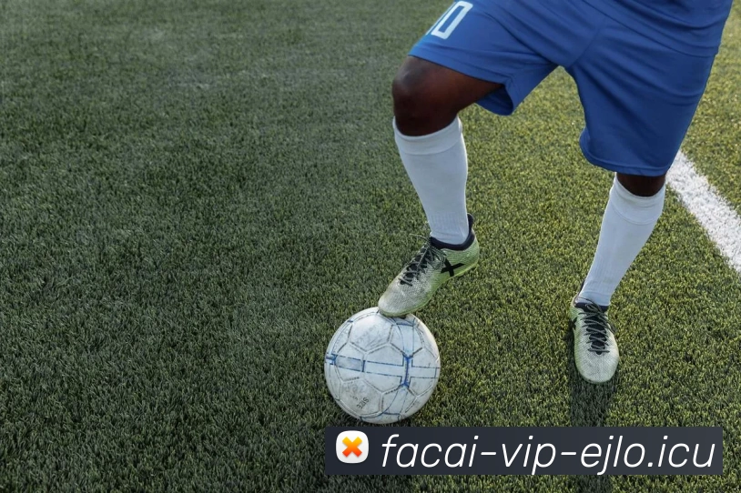 米兰体育服务体系